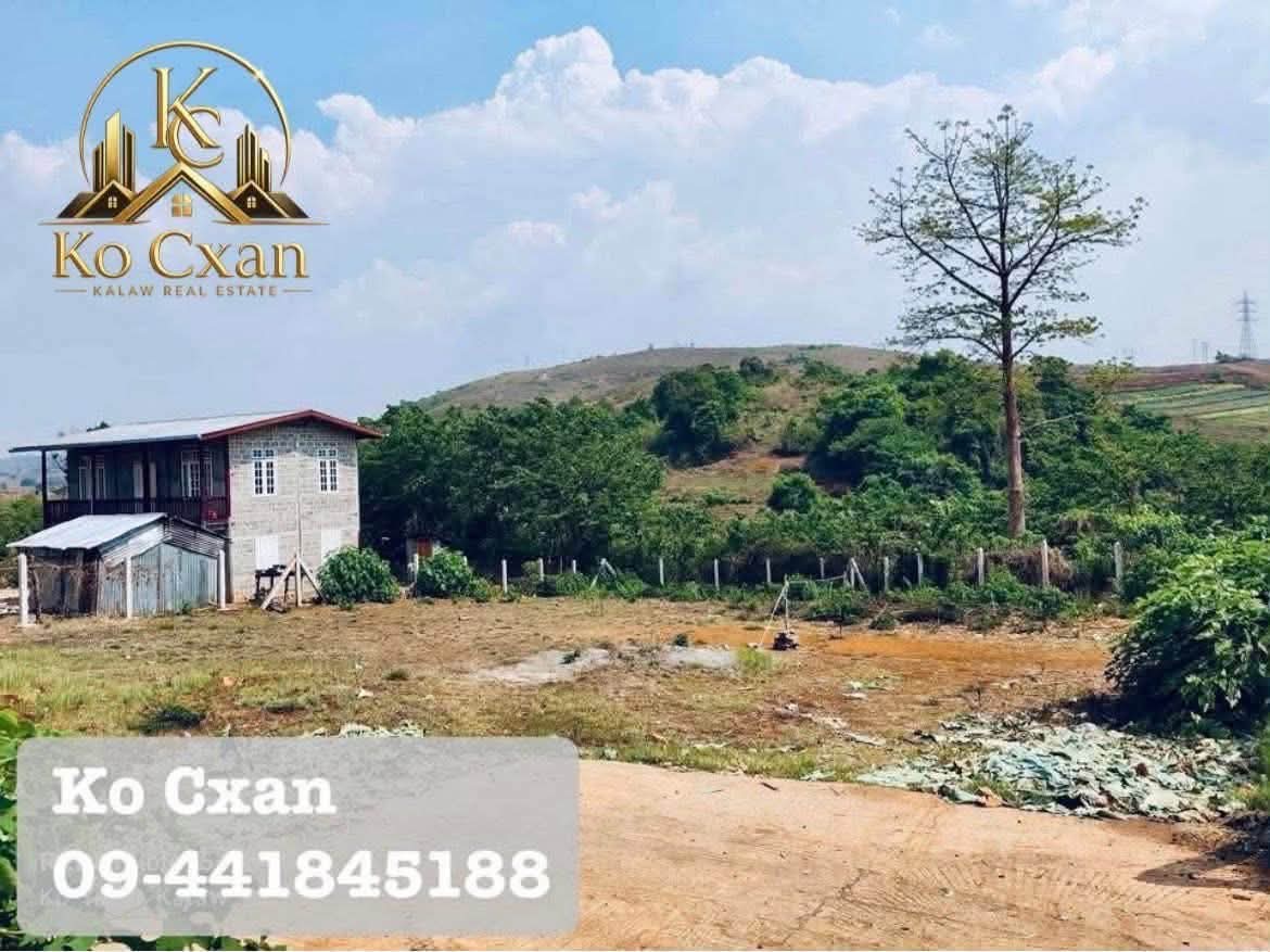 ကလော-ပင်လောင်းလမ်းမကြီးဘေး၊ ဗျိုက်တောင်…